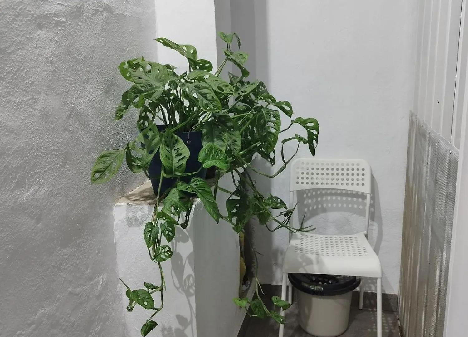 Apartamento Casa De Maria Luisa Arona  España